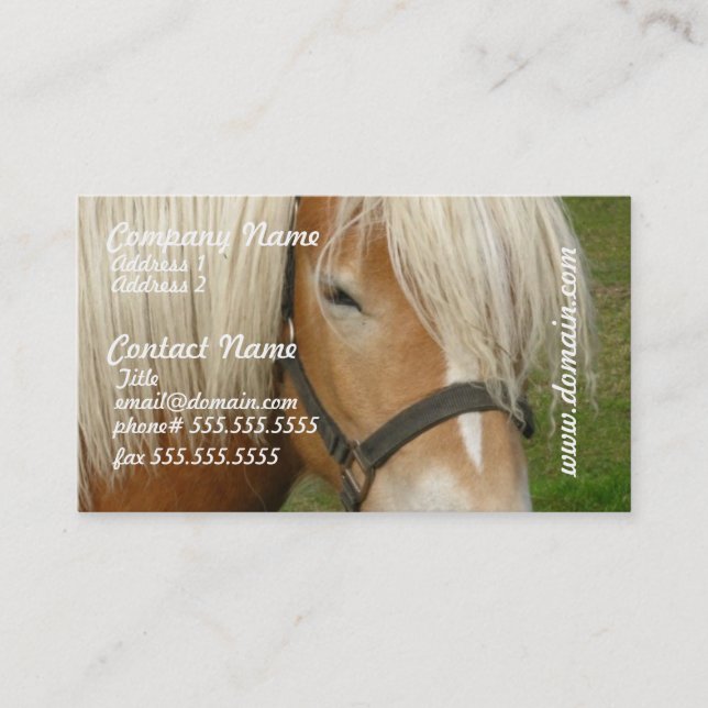 Cartes de visite mignons de poney de palomino (Devant)