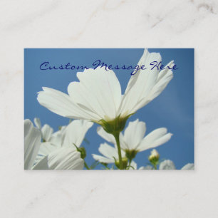 Cartes de visite Nature Fleurs de marguerite blanc