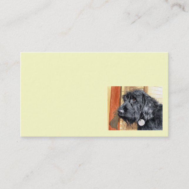 Cartes de visite noirs de Labradoodle (Devant)