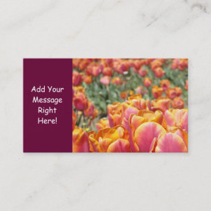 Cartes de visite Orange Rose qualité Fleurs Tulipe