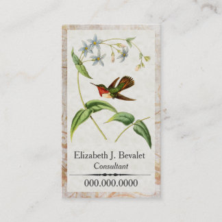 Cartes de visite personnels de colibri Scintillant