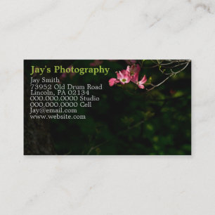 Cartes de visite photographiques modèle