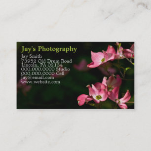 Cartes de visite photographiques modèle