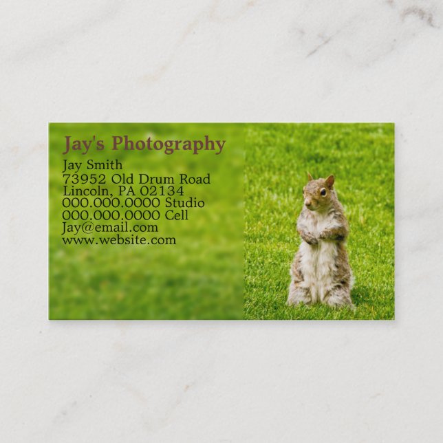 Cartes de visite photographiques modèle (Devant)