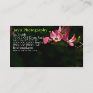 Cartes de visite photographiques modèle