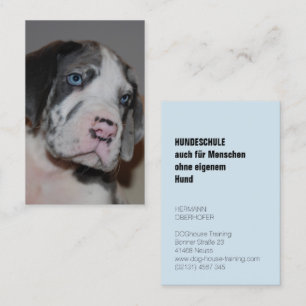 Cartes de visite pour école de chiens