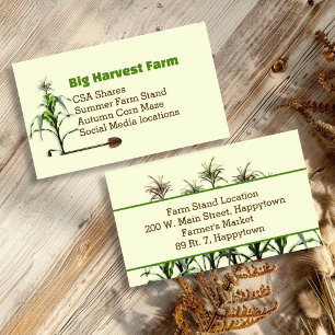 Cartes de visite pour la ferme aux tiges de maïs