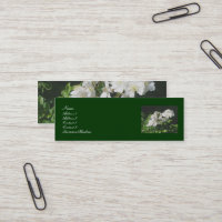 Cartes de visite Roses sauvages