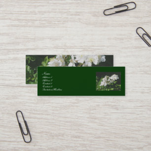 Cartes de visite Roses sauvages