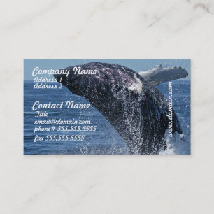 Cartes de visite sautants de baleine de bosse