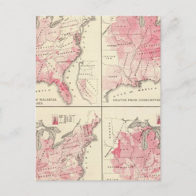 Cartes de vitalité des États-Unis (Devant)