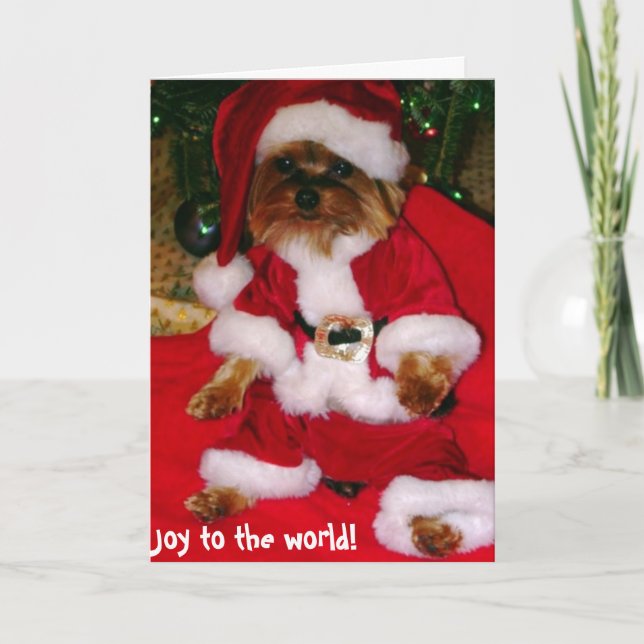 Cartes de voeux (Devant)