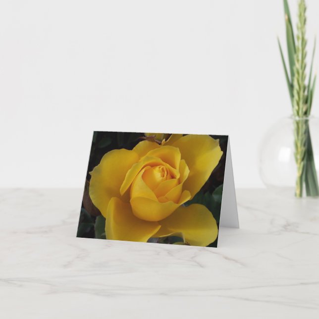 Cartes de vœux avec jardin d'amis à l'intérieur vi (Devant)