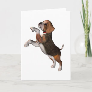 Cartes de voeux Beagles jouées