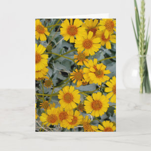 Cartes de voeux Brittlebush Flowers_personnalisabl