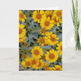 Cartes de voeux Brittlebush Flowers_personnalisabl