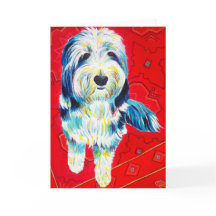 Cartes de voeux Collie, enveloppes incluses