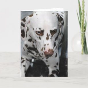 Cartes de voeux dalmatiennes mignonnes