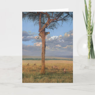 Cartes de voeux d'art de faune de Combes de type