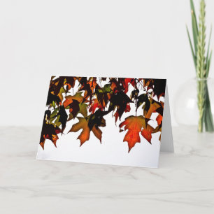 Cartes de voeux d'automne des Feuilles d'érable