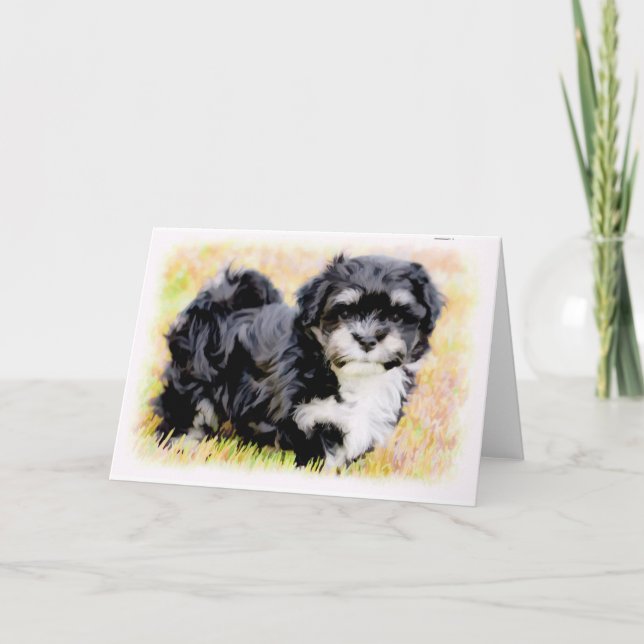 Cartes de voeux de chiot de Havanese (Devant)