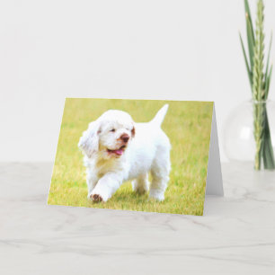 Cartes de voeux de chiot d'épagneul de Clumber