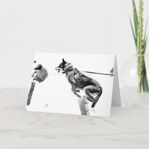 Cartes de voeux de MWD Gabriel