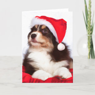 Cartes de voeux de Noël de Shepherd Puppy
