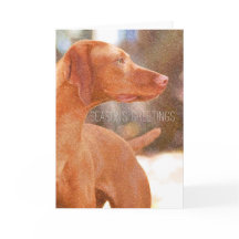 Cartes de voeux de Noël Vizsla