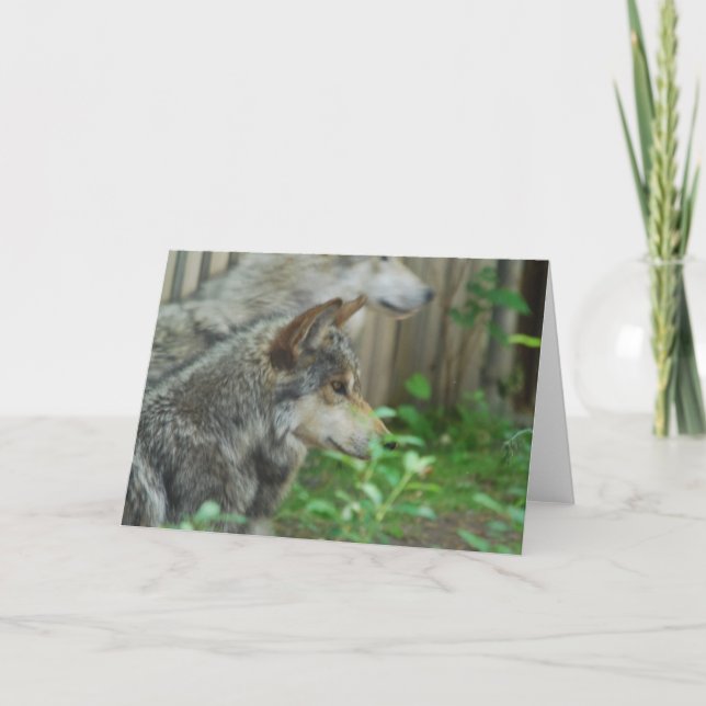 Cartes de voeux de paires de loup (Devant)