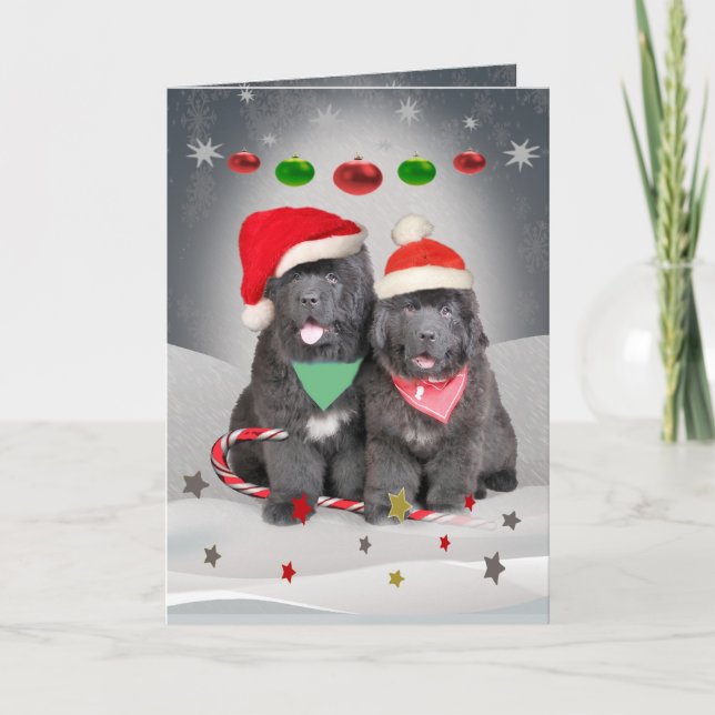Cartes de voeux de saison de chiots de Terre-Neuve (Devant)