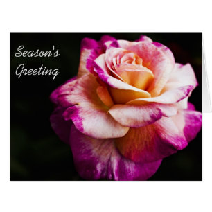 Cartes de voeux de saison de nouvelle année - rose