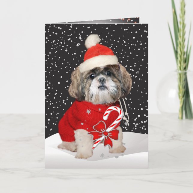 Cartes de voeux de saison de Shih Tzu Père Noël (Devant)