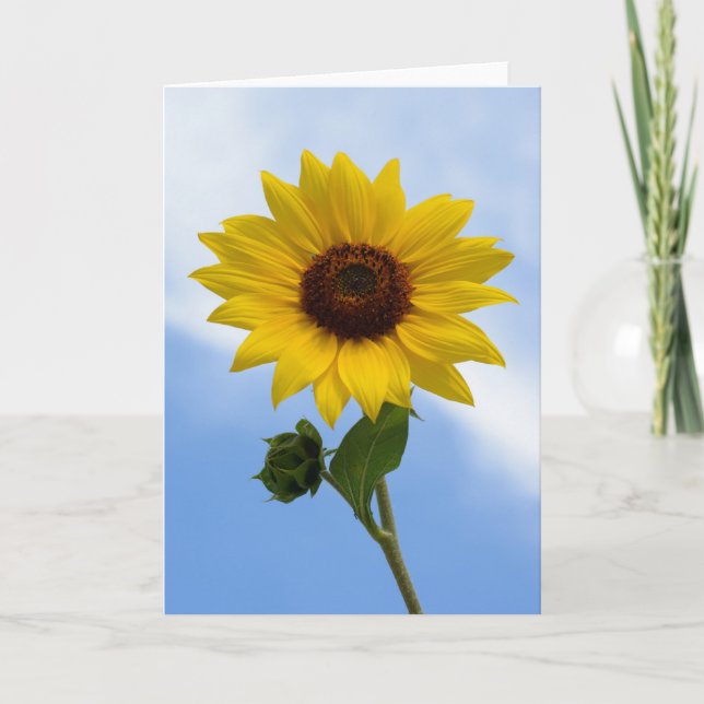 Cartes de voeux de tournesol (Devant)