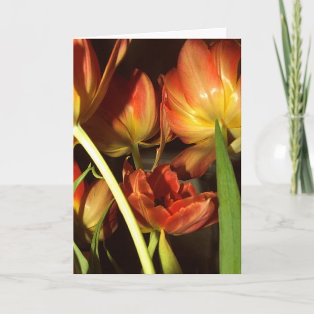 Cartes de voeux de tulipes (Devant)