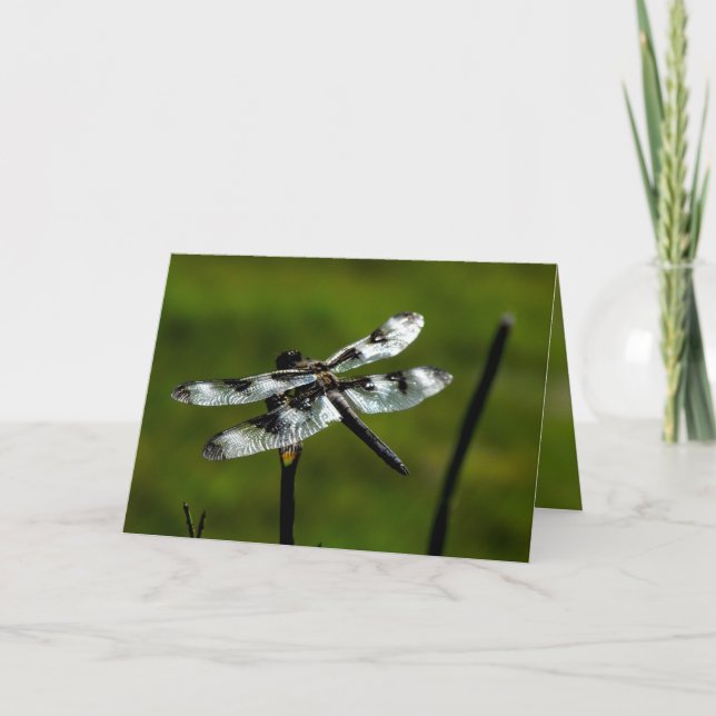 Cartes de voeux Dragon Fly (Devant)