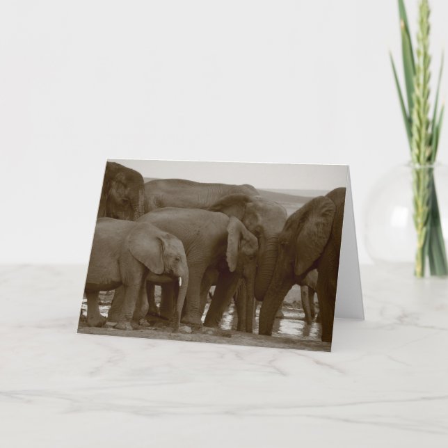 Cartes de voeux éléphantes pour une cause (Devant)