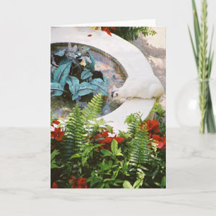 Cartes de vœux et notes Hemingway Cat 1