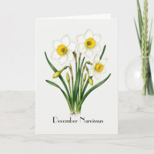Cartes de vœux Fleurs de Narcisse Décembre