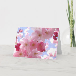Cartes de voeux floral vierge photo