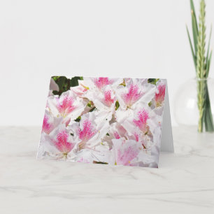 Cartes de voeux florales vierges dans le texte de 