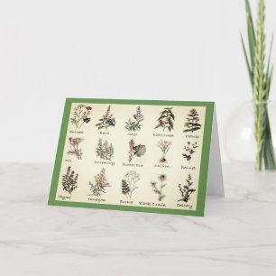 Cartes de voeux Herbes et épices
