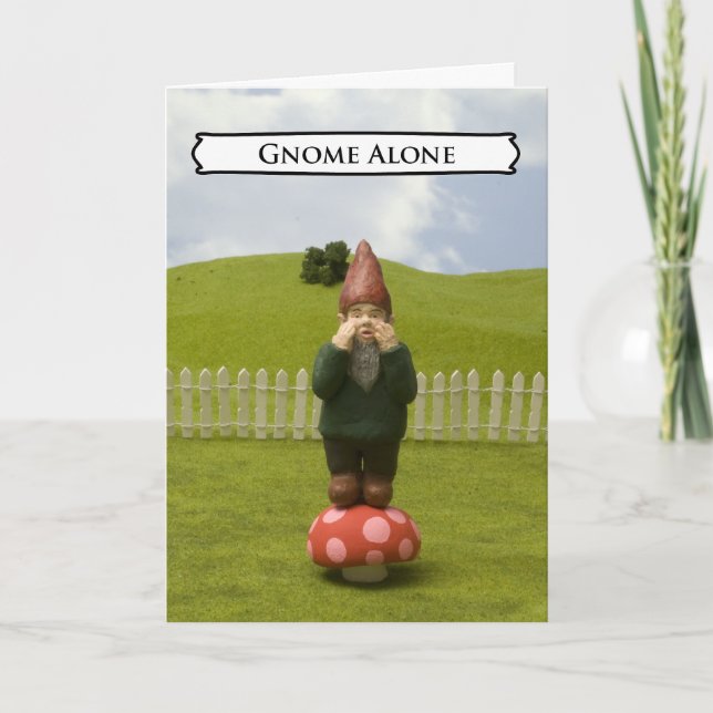 Cartes de voeux humoristiques (Devant)
