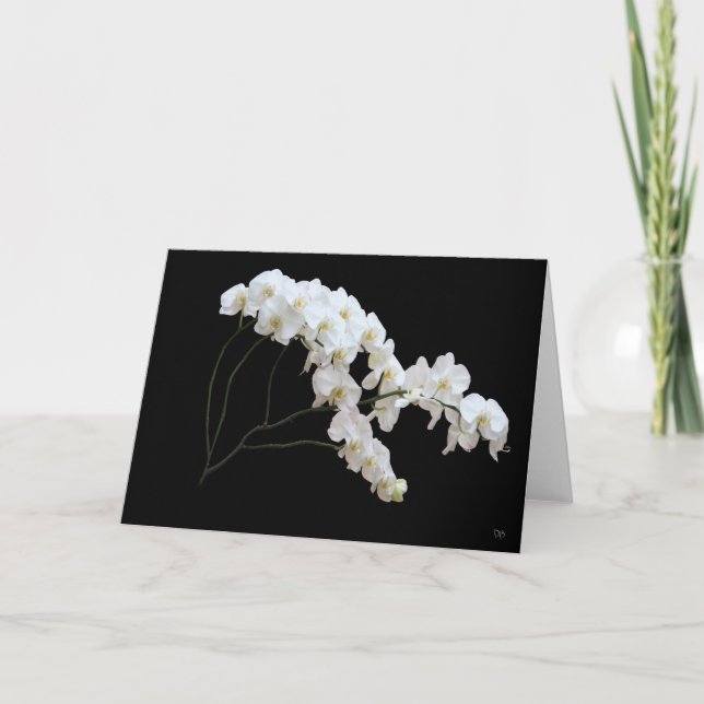 Cartes de vœux Orchidée Blanche (Devant)