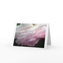Cartes de voeux ou cartes à notes en rose rose