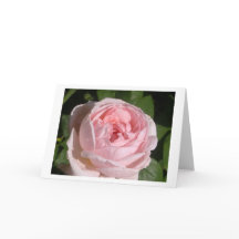 Cartes de voeux ou cartes à notes rose sucrée