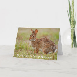 Cartes de vœux Paix, Amour et Bénédictions de Pâqu