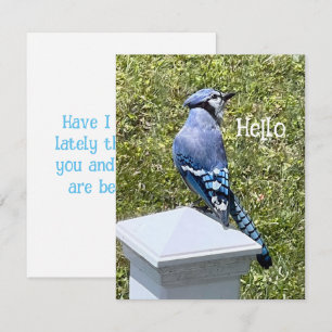 Cartes de voeux personnalisées aux oiseaux Jay Ble