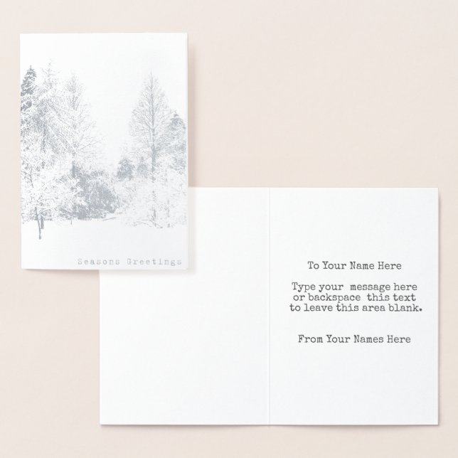 Cartes de vœux personnalisées d'hiver de Vancouver (Affichage)