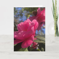 Cartes de vœux pliées 1 - Pétales roses